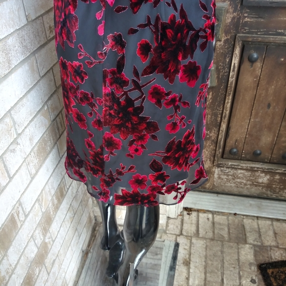 Evan piccone - Picture 7 of 7